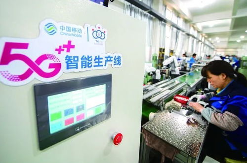 金華市第七次人口普查數據揭示城市發展新趨勢